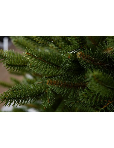 Świerk Sayra Prestige LED