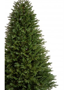 Świerk Sayra Prestige 2