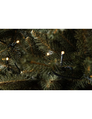 Świerk Bonali Prestige LED