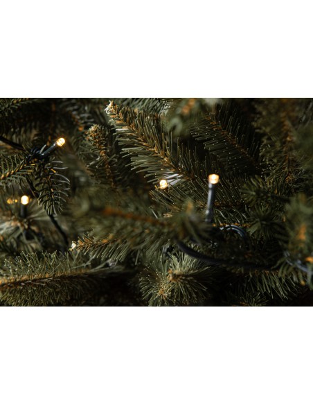 Świerk Bonali Prestige LED