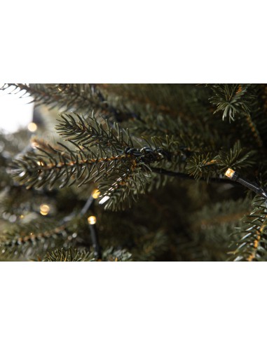 Świerk Bonali Prestige LED