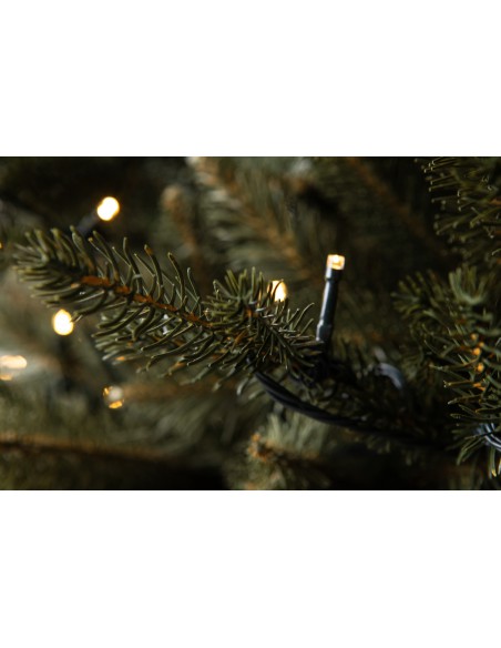 Świerk Bonali Prestige LED