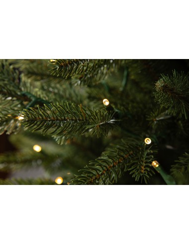 Świerk Sayra Prestige LED