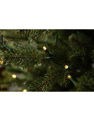 Świerk Sayra Prestige LED