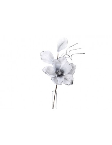 Magnolia biała