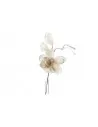 Magnolia ecru