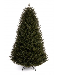 Świerk Bonali Prestige