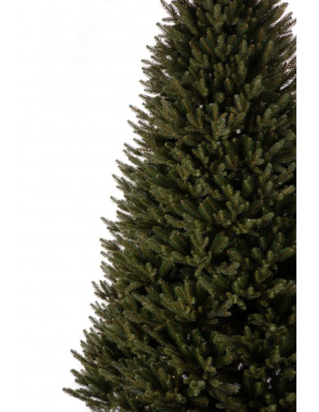 Świerk Bonali Prestige