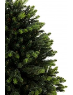 Świerk Sorris donica 2