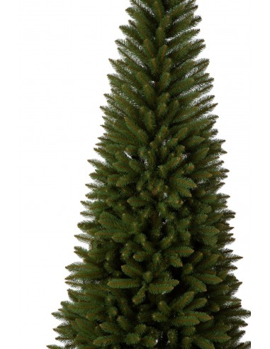 Świerk Inuri