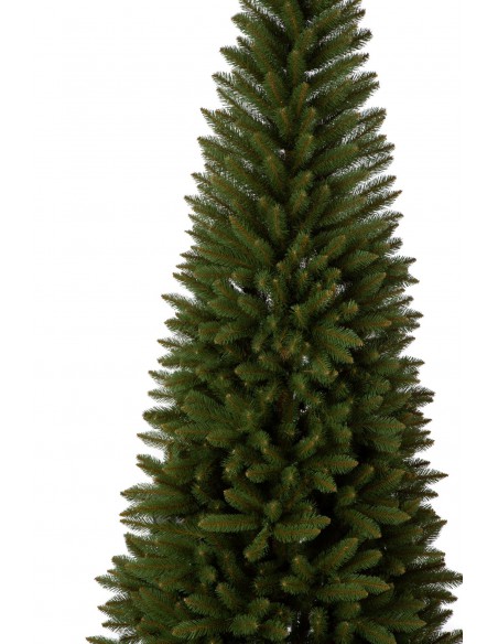 Świerk Inuri