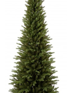 Świerk Naturi 2