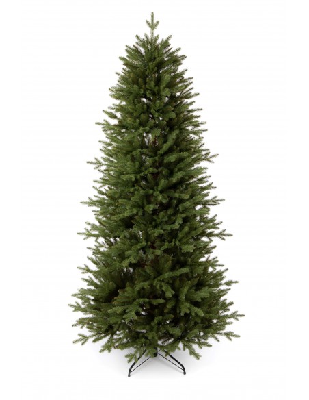 Świerk Sayra Slim