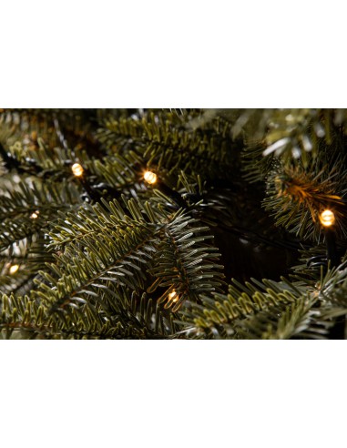 Jodła Tavra Prestige LED