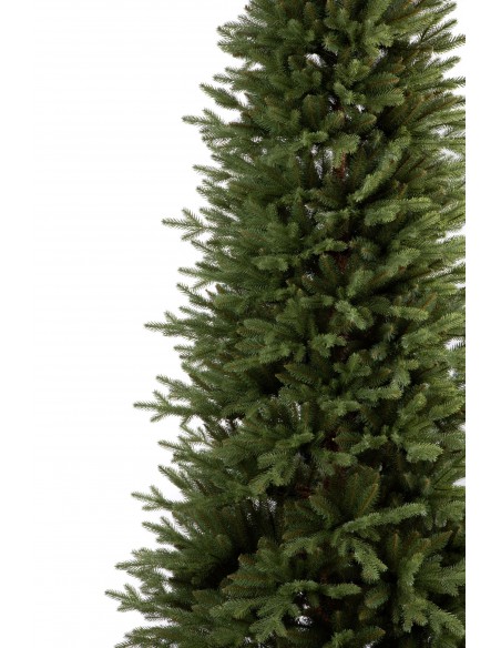 Świerk Sayra Slim