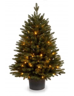 Świerk Bonali w donicy LED