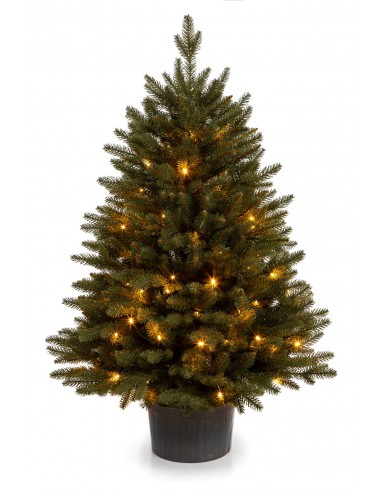 Świerk Bonali w donicy LED