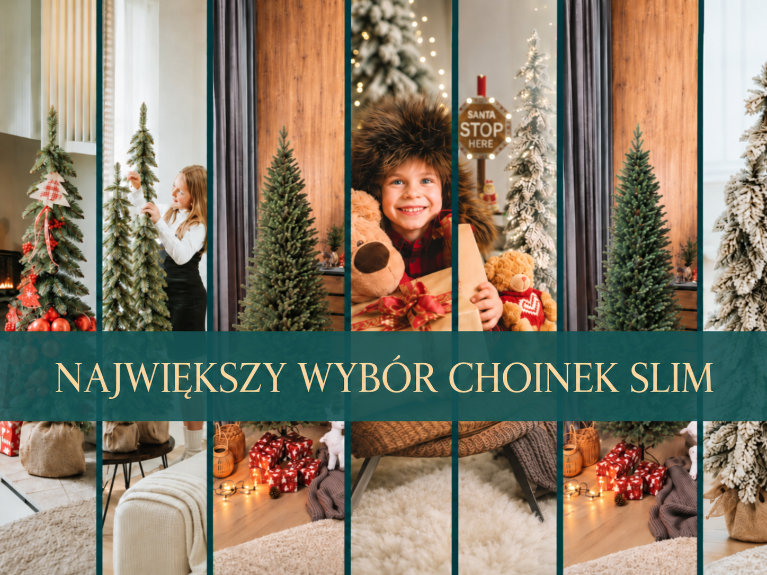 Największy wyb&oacute;r choinek SLIM